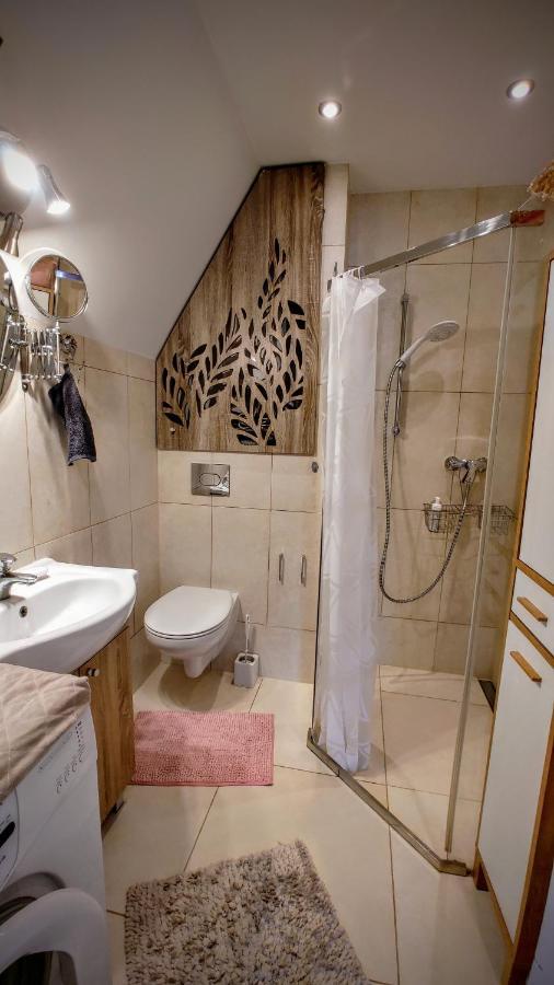 Apartment St Nicolas Attic